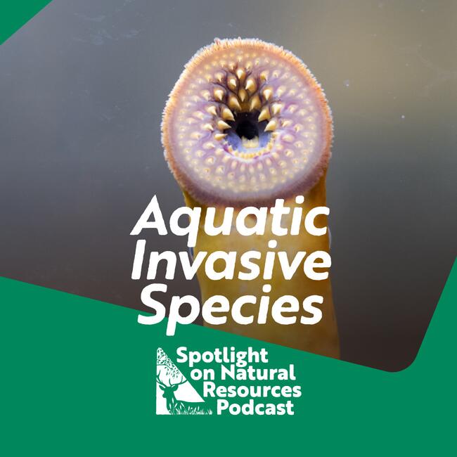 Aquatic invasive species