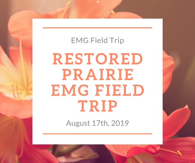Flower background for restored prairie field trip