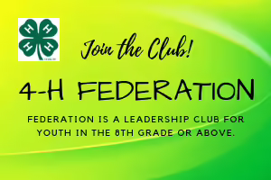 4-H Federation