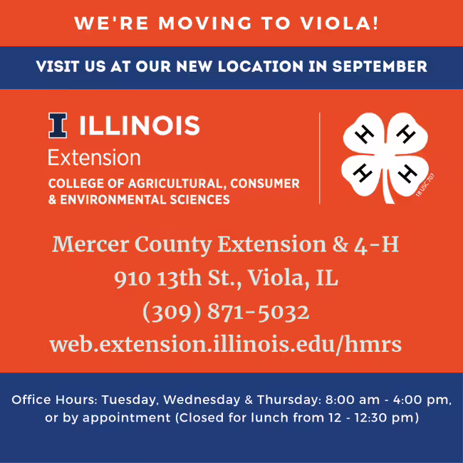 text about moving to Viola