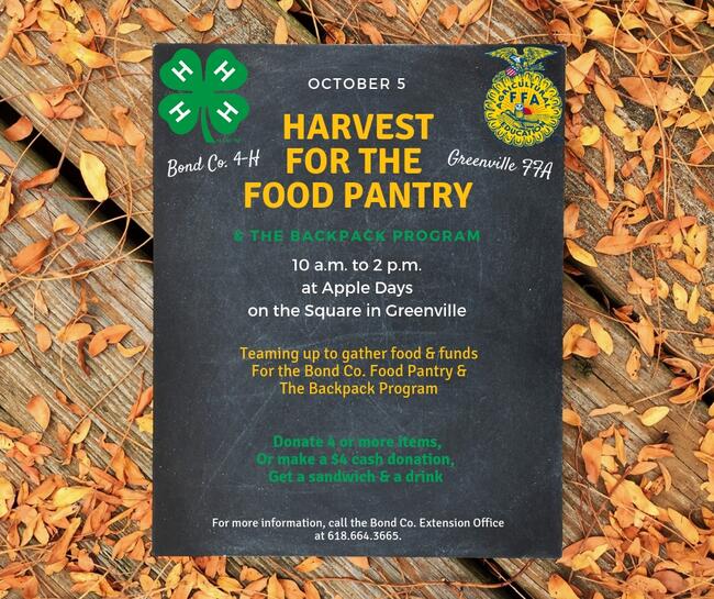 chalk board with Harvest for the Food Pantry text in yellow, laying on a wood deck covered with leaves