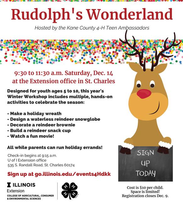 copy of flyer with reindeer cartoon
