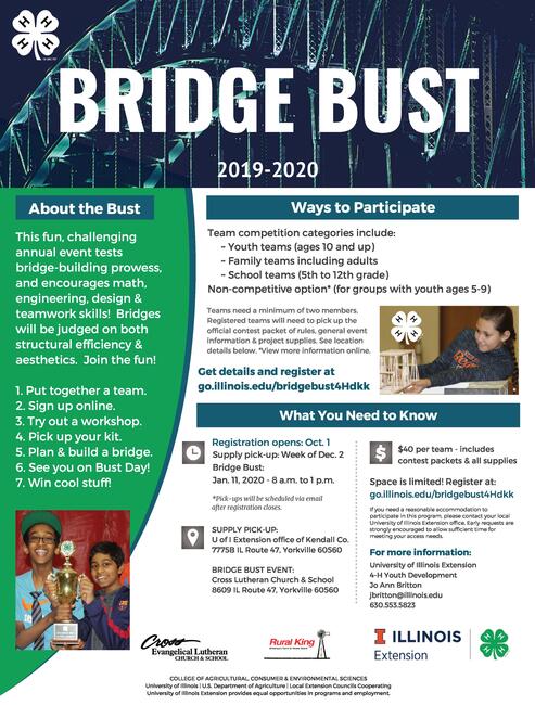 Bridge Bust flyer