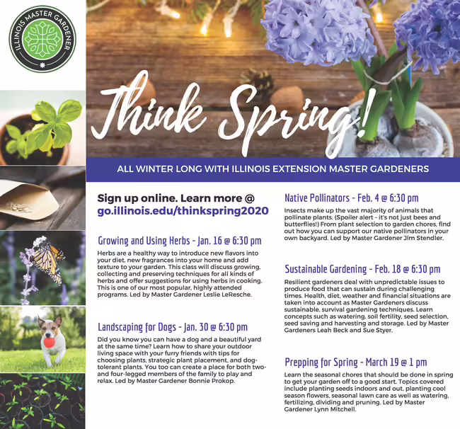 Think Spring flyer image