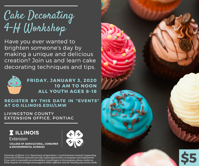 Yummy cupcakes and workshop information