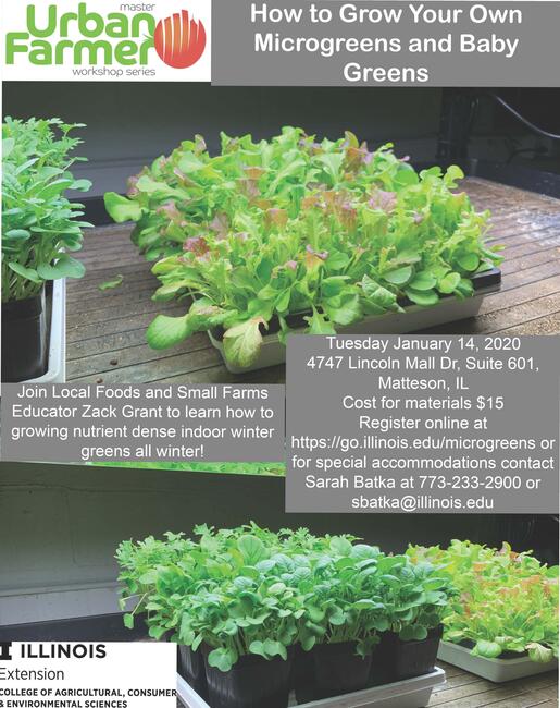 Flat of leafy baby salad greens and contact information for registration