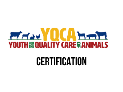 Youth for the Quality Care of Animals logo