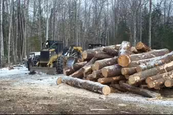 Stacked harvested timber next to a harvester