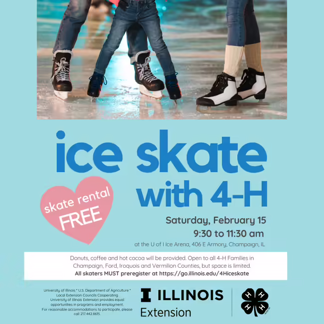 Ice Skate
