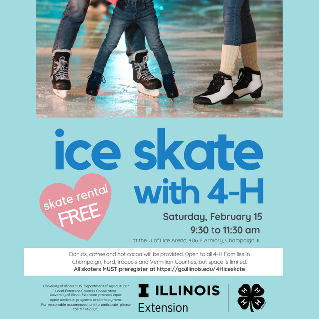 Ice Skate 