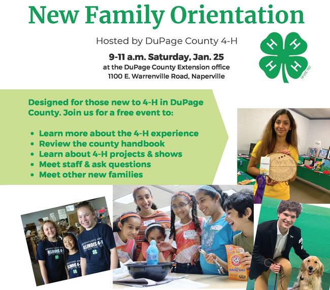 flyer with photos of DuPage 4-H youth
