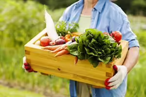 Vegetables