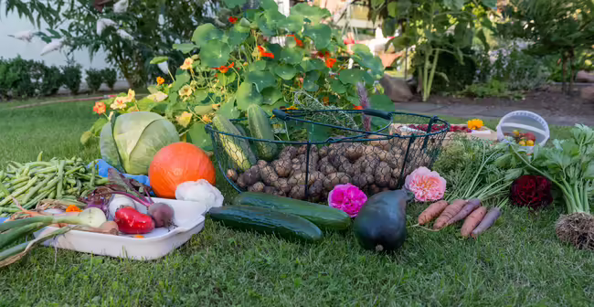 products from the garden including cabbage, cucumbers, carrots, potatoes, onions, green beans, beets, peppers, and flowers