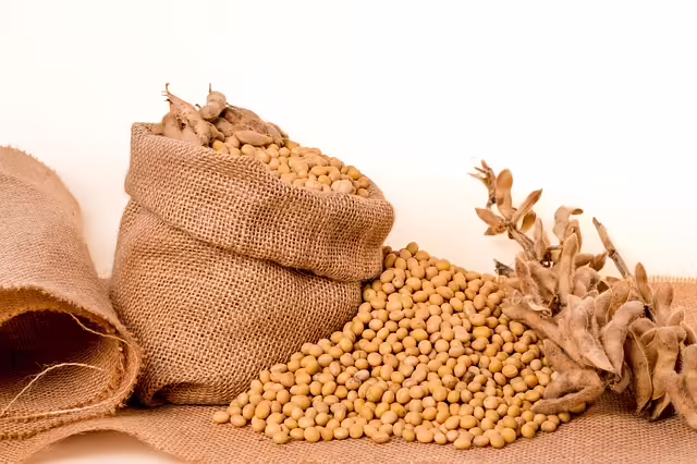 soybeans