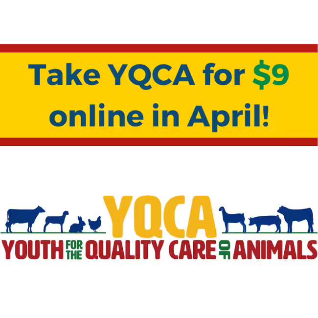 YQCA logo plus text reading take YQCA for $9 in april