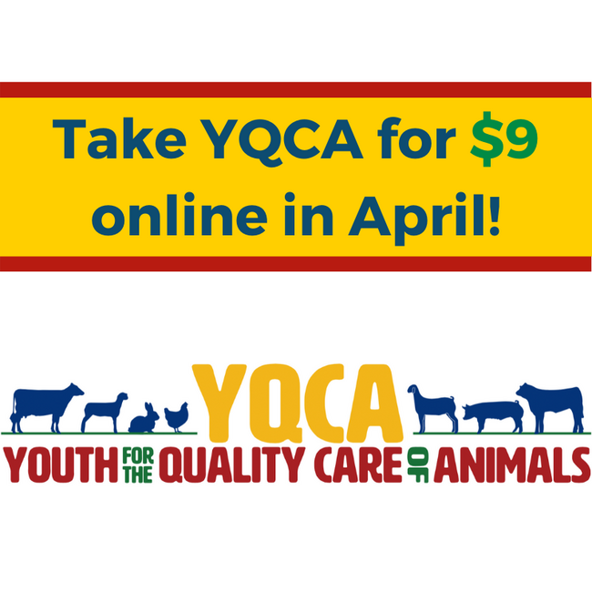 YQCA logo plus text reading take YQCA for $9 in april 