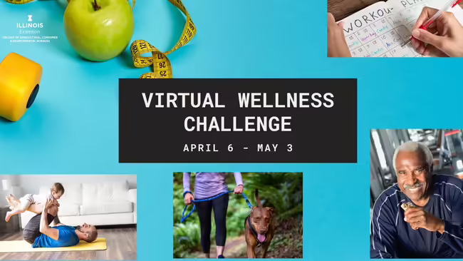 virtual wellness
