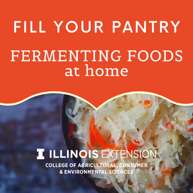 photo of fermenting food