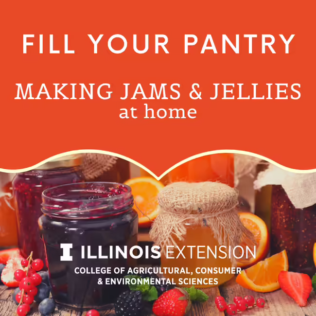 photo of jelly