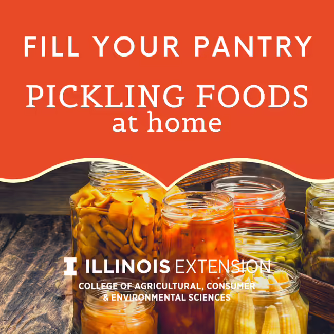 photo of pickled food