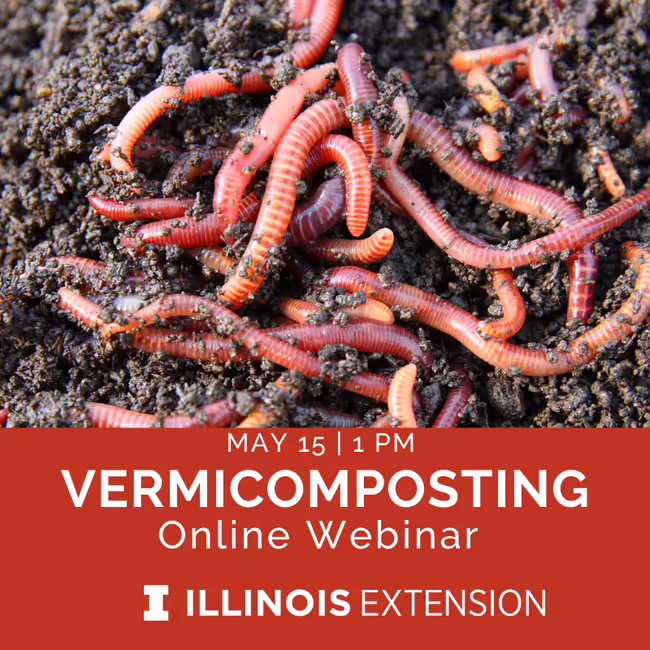 Photo of worms