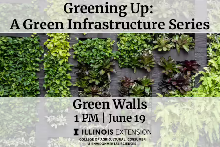 green walls
