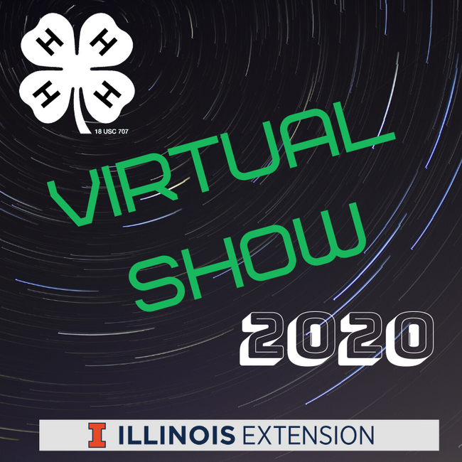 Virtual Show Logo