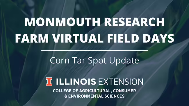 Graphic of Corn Tar Spot Update