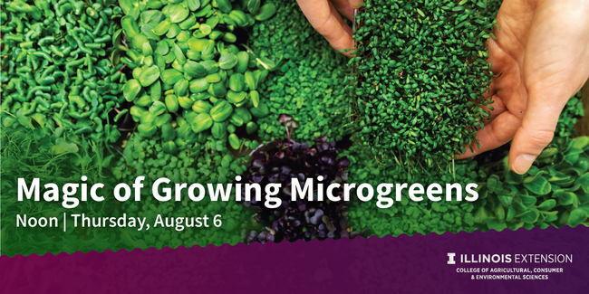 promotion for Microgreens