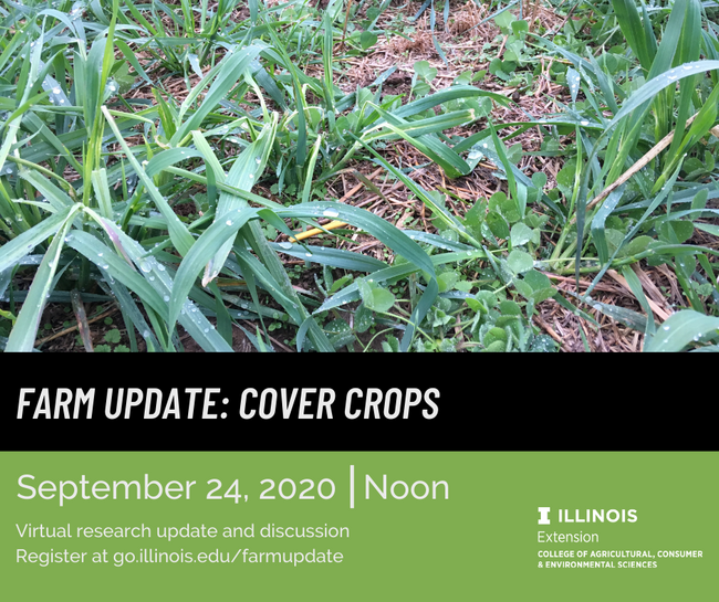 Cover Crop Update - Sept. 24