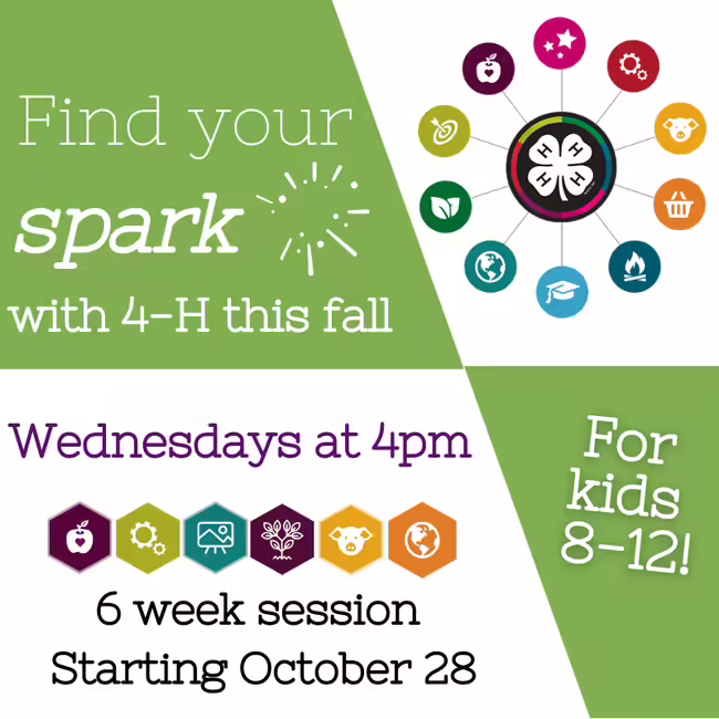 find your spark graphic
