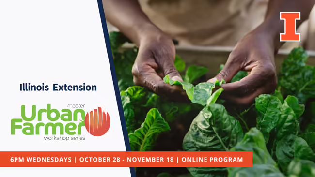 urban farmer graphic with hands with kale
