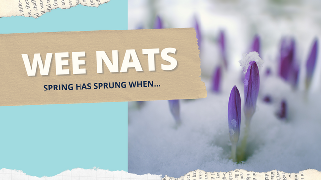 wee naturalists graphic with flowers blooming in snow