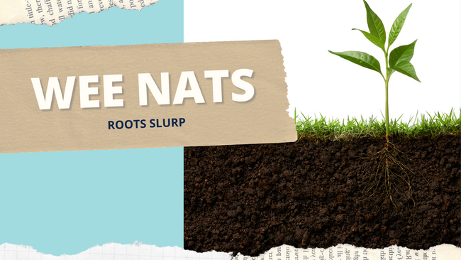 Wee naturalist graphic showing side view of plant and roots