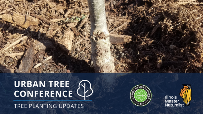 Urban Tree Conference Graphic: Tree Planting Updates