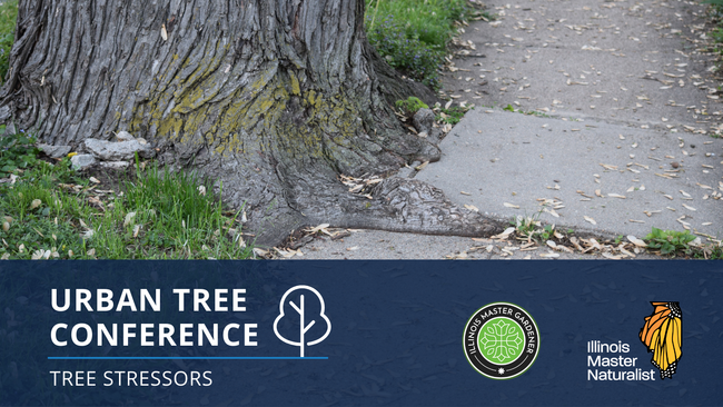 Urban Tree Conference: Identifying Stresses of Trees