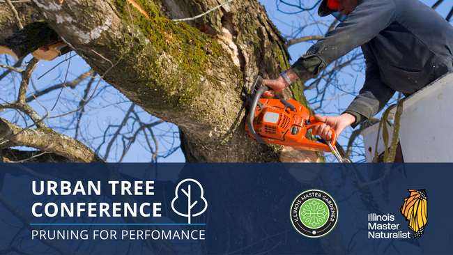 Urban Tree Conference: Pruning for Performance and Prevention