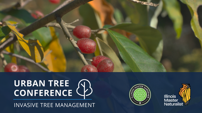 Urban Tree Conference: Invasive Tree Management