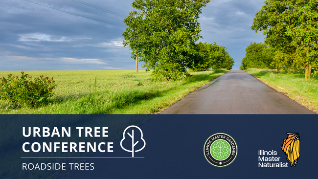 Urban Tree Conference: Best Practices for Growing Roadside Trees