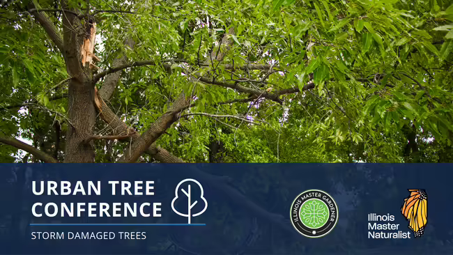 Urban Tree Conference: Storm Damaged Trees