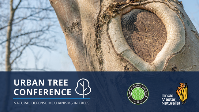 Urban Tree Conference: Natural Defense Mechanisms in Trees