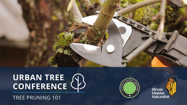 Urban Tree Conference: Tree Pruning 101