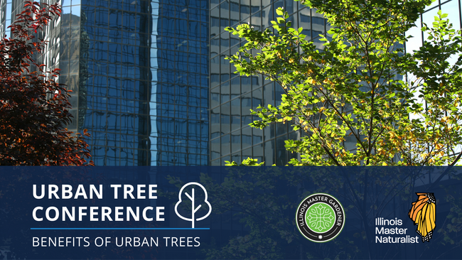 Urban Tree Conference: Benefits of Urban Trees