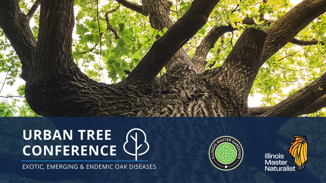Urban Tree Conference: Exotic, Emerging, and Endemic Oak Diseases in the Midwest