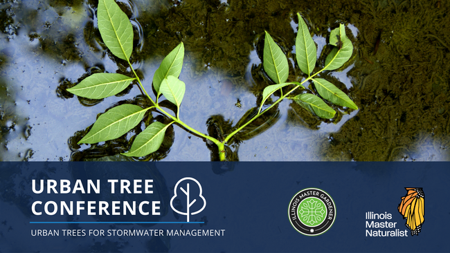 Urban Tree Conference: Urban Trees for Stormwater Management