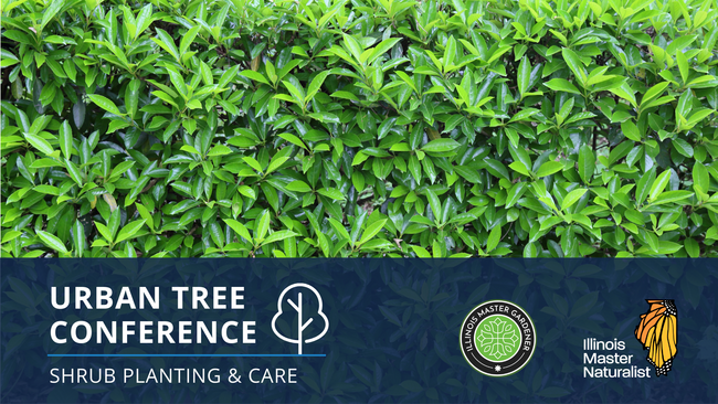 Urban Tree Conference: Shrub Planting and Care