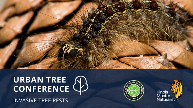 Urban Tree Conference: Invasive Tree Pests of the Midwest