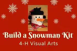 cjmmsnowmankit