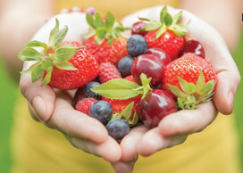 hands holding berries