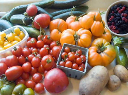 Fruit & Vegetable School